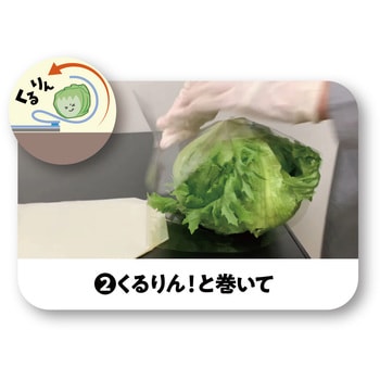 レタスくるりんぱシート180×590 精工