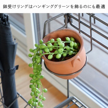 ワイヤーボタニカルラック 日東