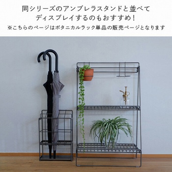 ワイヤーボタニカルラック 日東