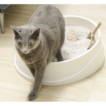 ネオクリア猫砂5L アイリスオーヤマ