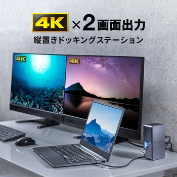 ドッキングステーション サンワサプライ
