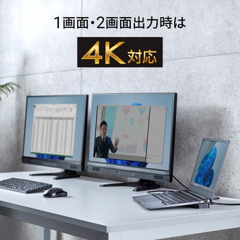 ドッキングステーション サンワサプライ