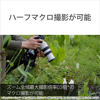 交換レンズ FE 70-200mm F4 Macro G OSS II SONY