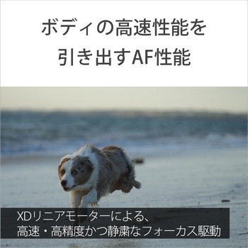 交換レンズ FE 70-200mm F4 Macro G OSS II SONY