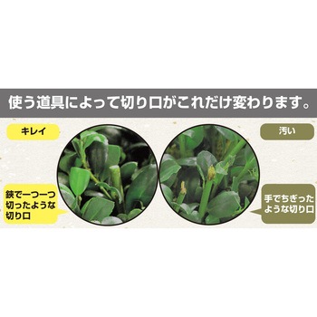 高枝電動バリカン チップレシーバー付 アルスコーポレーション