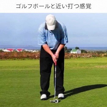 ゴルフ パッティングトレーニング 和漢侍