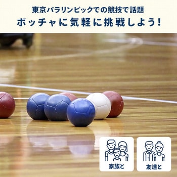 60125 BOCCIA(ボッチャ)セット 1セット トレードワン 【通販