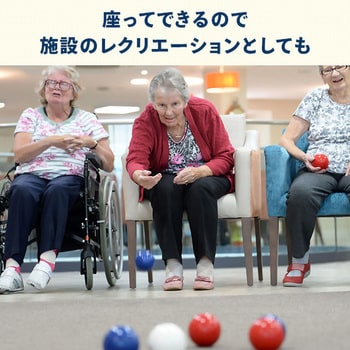 60125 BOCCIA(ボッチャ)セット 1セット トレードワン 【通販モノタロウ】