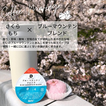 UCC DRIP POD ブルーマウンテンブレンド UCC(上島珈琲)