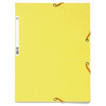 A4ゴム留めファイル EXACOMPTA