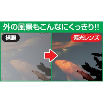調光・偏光ファッショングラス ファミリー・ライフ
