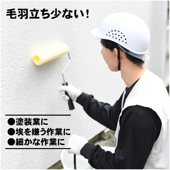 ポリエステル軍手 10ゲージ ACE GLOVE