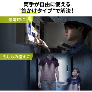 LEDデスクライト ネックタイプ USB充電式 サンワダイレクト