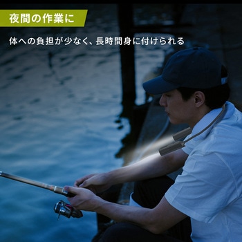 LEDデスクライト ネックタイプ USB充電式 サンワダイレクト