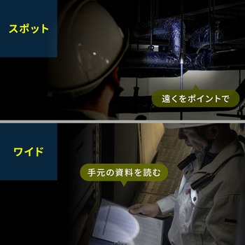LEDデスクライト ネックタイプ USB充電式 サンワダイレクト