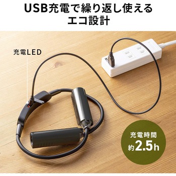 LEDデスクライト ネックタイプ USB充電式 サンワダイレクト