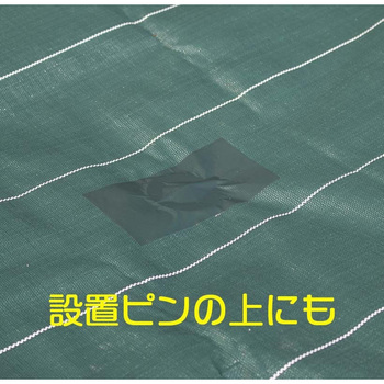 高密度防草シート用テープ イノベックス(ダイオ化成)