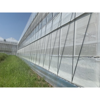 虫フラッとネット 小泉製麻