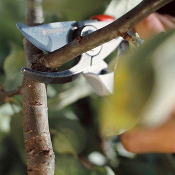 Alu-Secateurs B+/L 8702-20 GARDENA(ガルデナ)