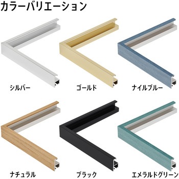 コレクションケースSサイズ 細縁 アルナ