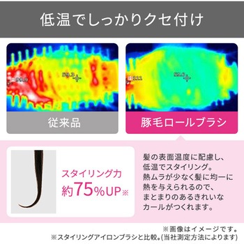 くるくるドライヤー カールドライヤー マイナスイオン 豚毛ブローブラシ 豚毛ロールブラシ 2段階切替 (DRY-SET) 静電気低減 ブラシ水洗いOK 抗菌 テスコム