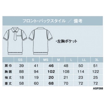 AMUS-NET ポロシャツ カーシーカシマ