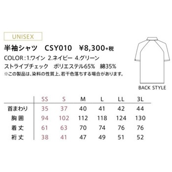 CAREAN 半袖シャツ カーシーカシマ