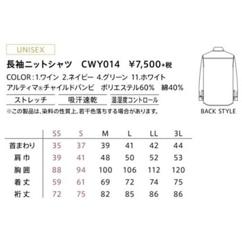 CAREAN 長袖ニットシャツ カーシーカシマ