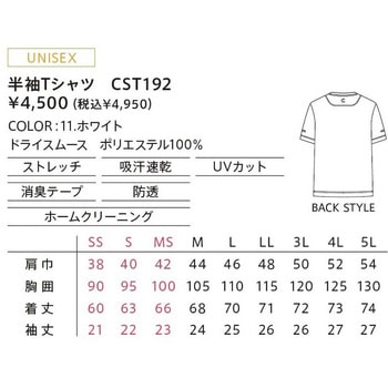 CAREAN 半袖Tシャツ カーシーカシマ