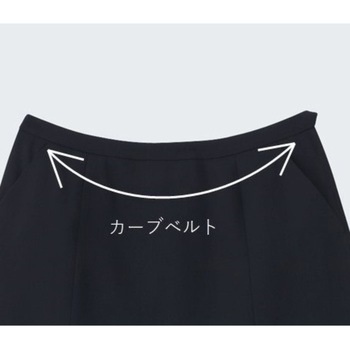 ENJOY Aラインスカート カーシーカシマ