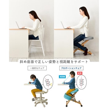 プロポーションチェア 補助クッション付き ミヤタケ(宮武製作所)