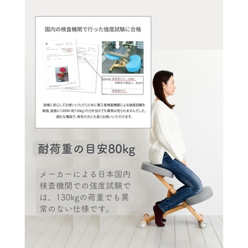 プロポーションチェア 補助クッション付き ミヤタケ(宮武製作所)