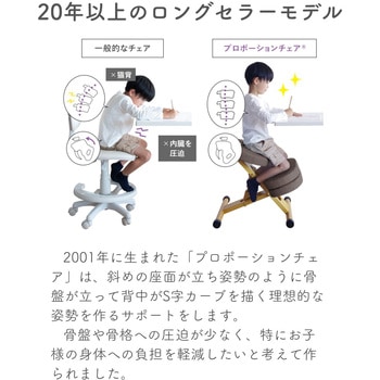 プロポーションチェア カバー付き ミヤタケ(宮武製作所)