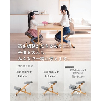 プロポーションチェア カバー付き ミヤタケ(宮武製作所)