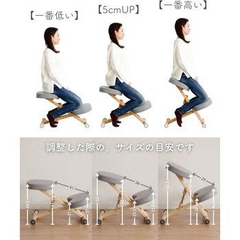 プロポーションチェア カバー付き ミヤタケ(宮武製作所)