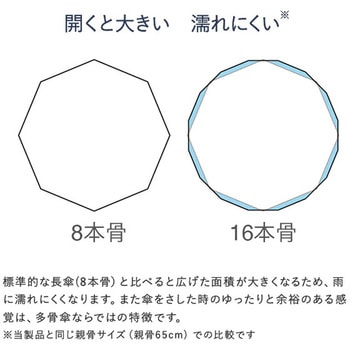 ベーシックジャンプ16 Biz 16本傘 65cm mabu(マブ)