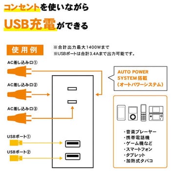 電源タップ USB 2ポート TOPLAND