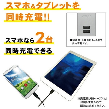 電源タップ USB 2ポート TOPLAND