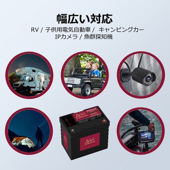 リン酸鉄リチウムイオンバッテリー LifePO4 産業用途 (フォークリフト・ゴルフカート・高所作業車 等) AQUA DREAM(アクアドリーム)