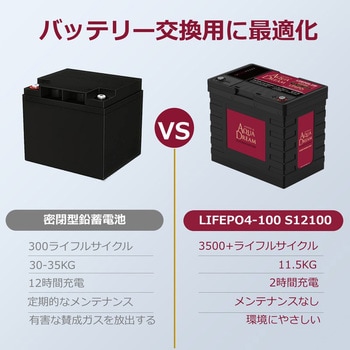 LIFEPO4-100 リン酸鉄リチウムイオンバッテリー LifePO4 産業 LIFEPO4-100 リン酸鉄リチウムイオンバッテリー LifePO4 産業