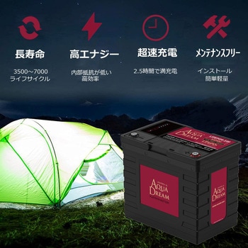 リン酸鉄リチウムイオンバッテリー LifePO4 産業用途 (フォークリフト・ゴルフカート・高所作業車 等) AQUA DREAM(アクアドリーム)