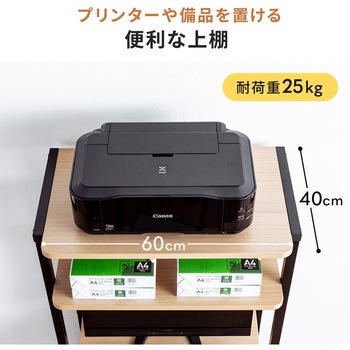 ラック サンワダイレクト