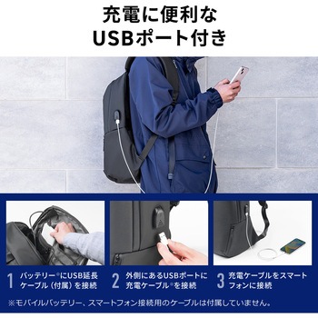 キャリングバッグ サンワダイレクト
