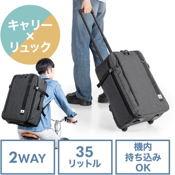 キャリングバッグ - サンワダイレクト