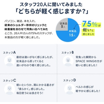 キャリングバッグ サンワダイレクト