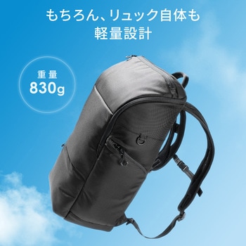 キャリングバッグ サンワダイレクト
