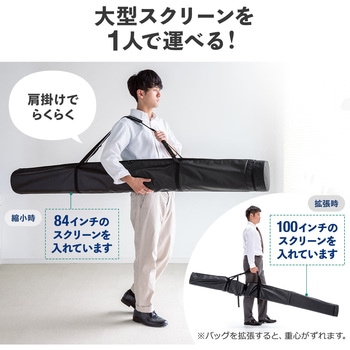 収納バッグ サンワダイレクト