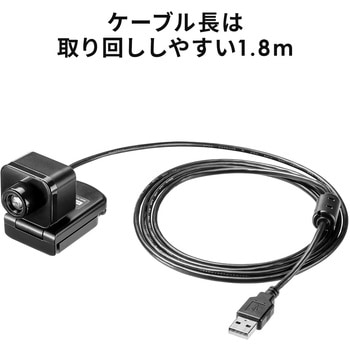 WEBカメラ サンワダイレクト
