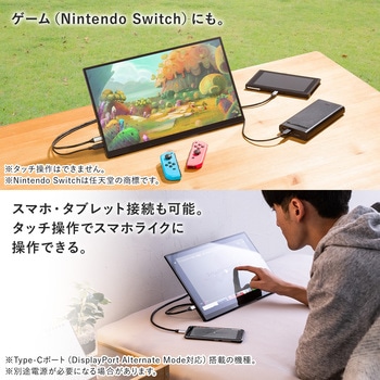 ディスプレイ サンワダイレクト