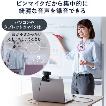 ピンマイク サンワダイレクト